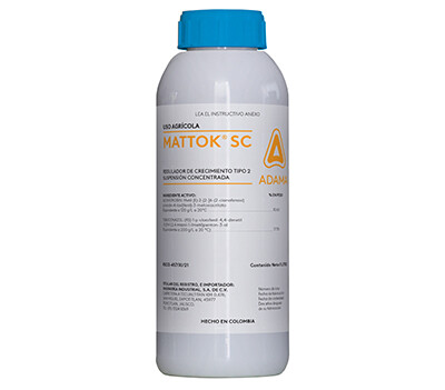Mattok