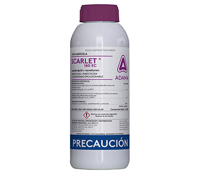 Scarlet