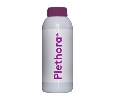 Plethora