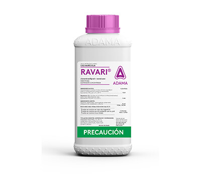 RAVARI