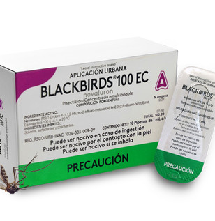 Producto Blackbirds