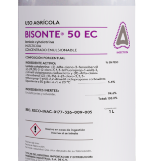 Bisonte