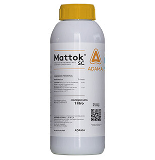 Mattok