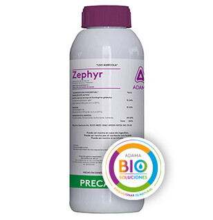 zephyr