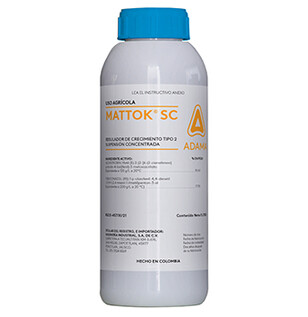 Mattok