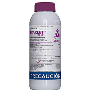 Scarlet