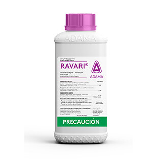 RAVARI