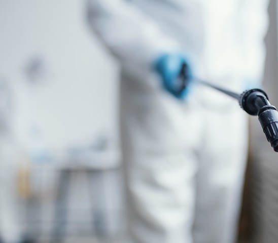soluciones para el control de plagas