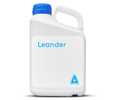 Leander