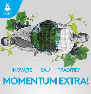 Momentum Extra WDG