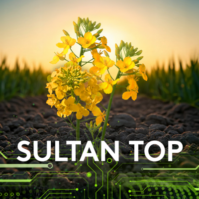 erbicid rapita sultan top
