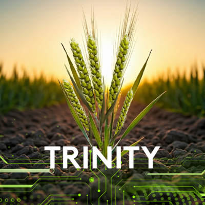 erbicid trinity