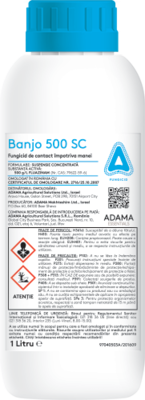 Banjo-500-SC.png