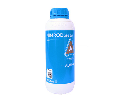 Nimrod 250 EW.jpg