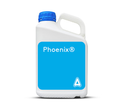 Phoenix