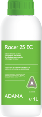 Racer-25-EC---FAKE.png