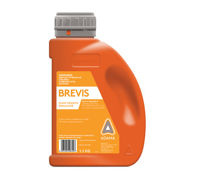 Brevis