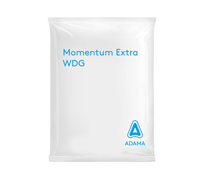 momentum-product.jpg