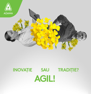 agil