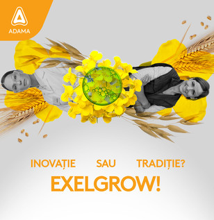 exelgrow