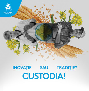 custodia