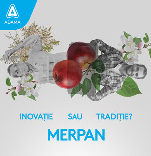 merpan