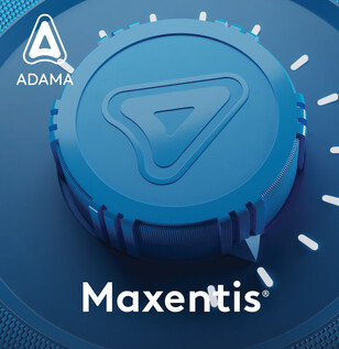 Maxentis