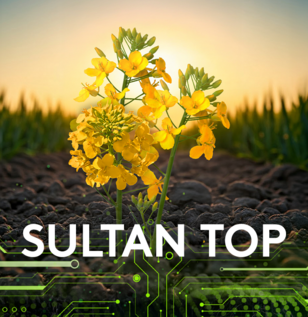 erbicid rapita sultan top