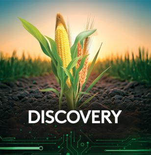 erbicid discovery