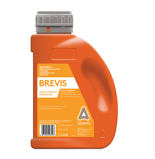 Brevis