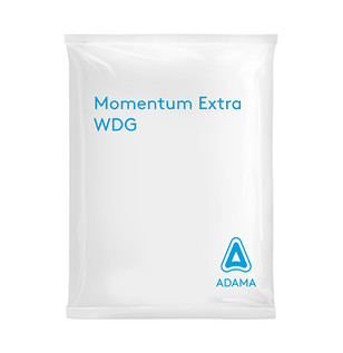momentum-product.jpg