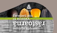 Catalog 2023