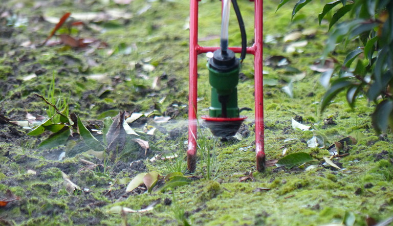 LVS toepassing in de sierteelt