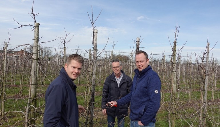 Hans, John, Pieter