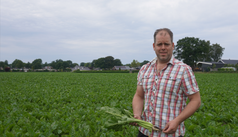 Mark Karstenberg suikerbieten