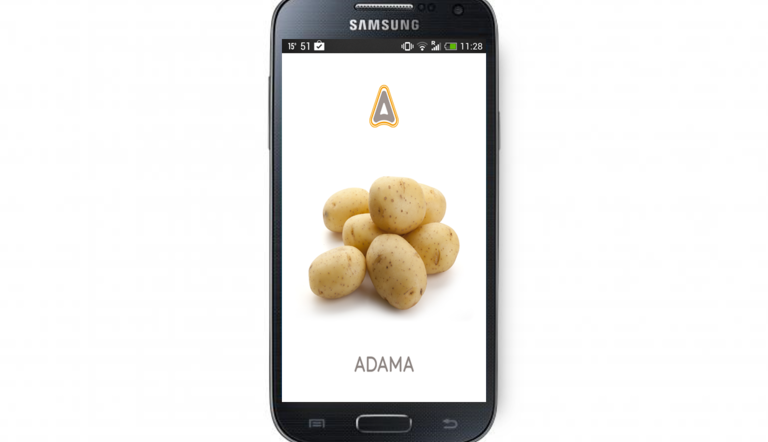 Adama Talent App