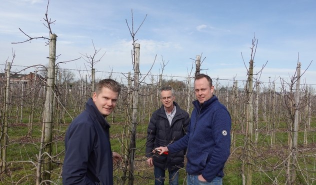 Hans, John, Pieter