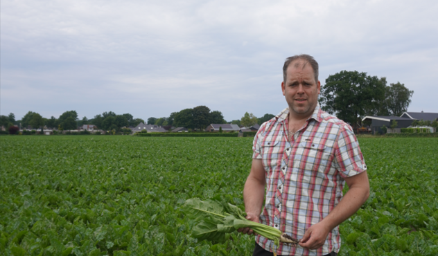 Mark Karstenberg suikerbieten