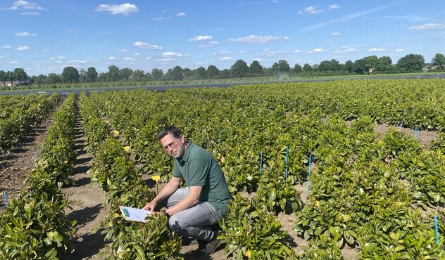 Stephn in het veld