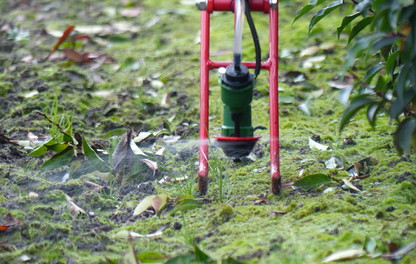 LVS toepassing in de sierteelt