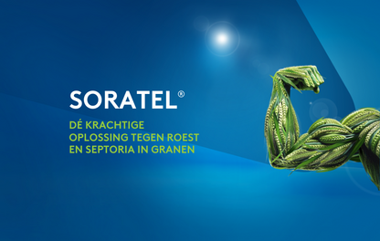 Soratel