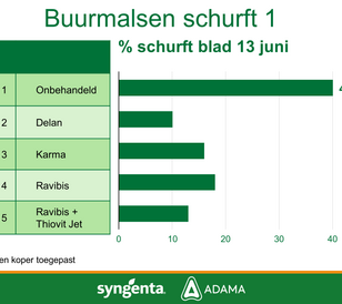 Buurmalsen schurft proef 1