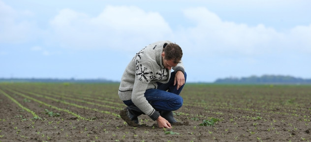 boer in het veld