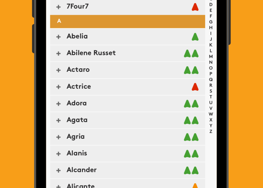 Talent app 5.5 iPhone preview iOS
