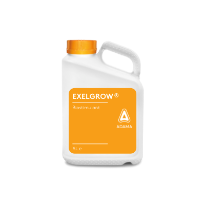 exelgrow