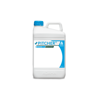 Pitcher