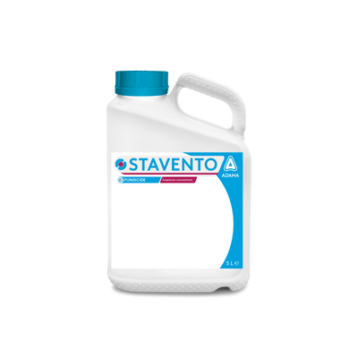 Stavento
