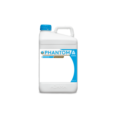 Phantom