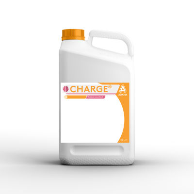Charge can