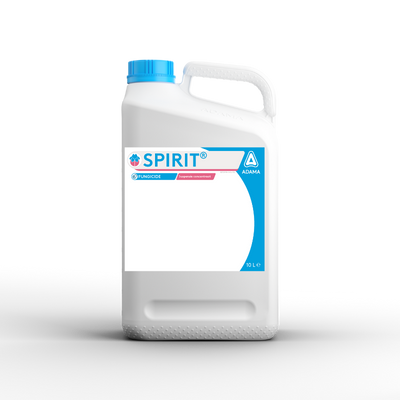 Spirit